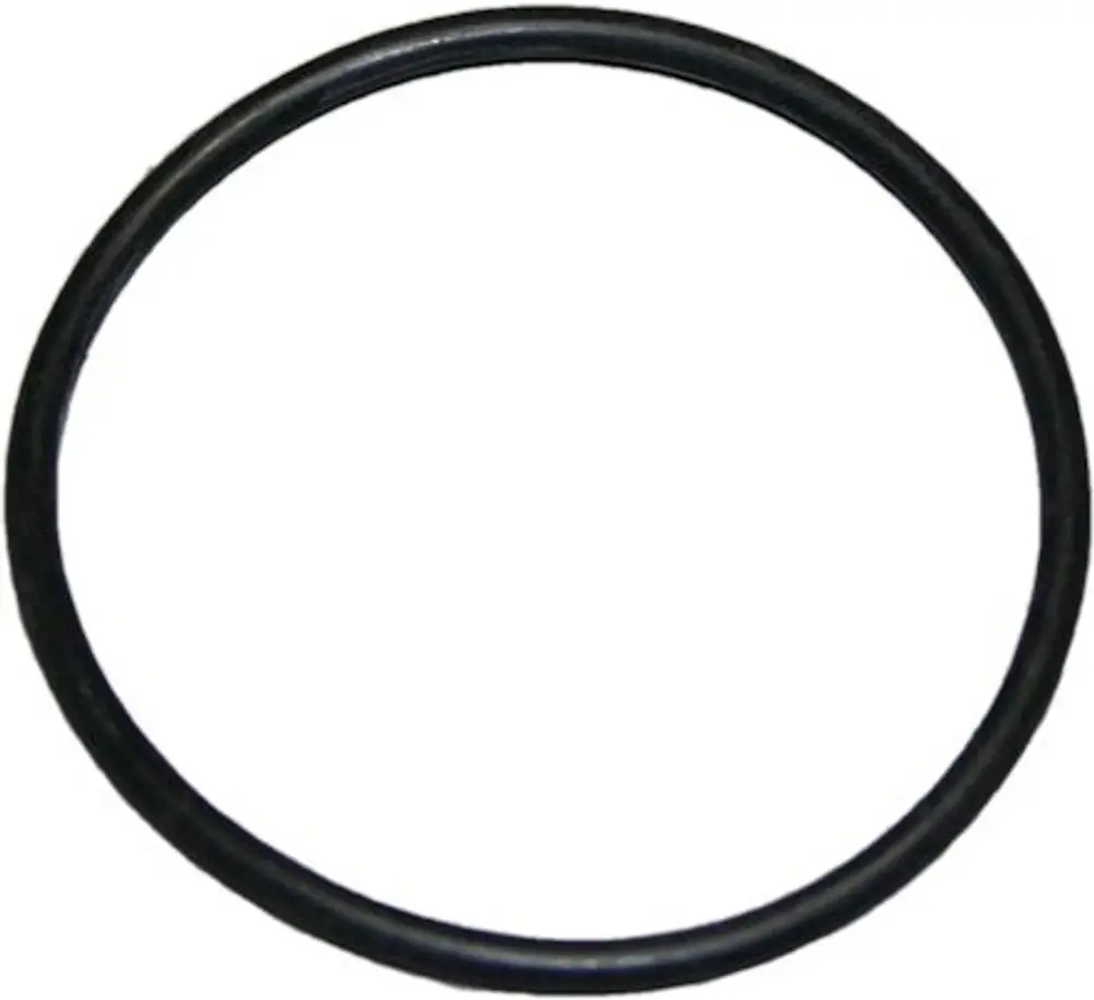 Schwarzer O-Ring von Bosch, ringförmig, mit glatter Oberfläche, geeignet für Dichtungen oder Abdichtungen in verschiedenen Anwendungen.